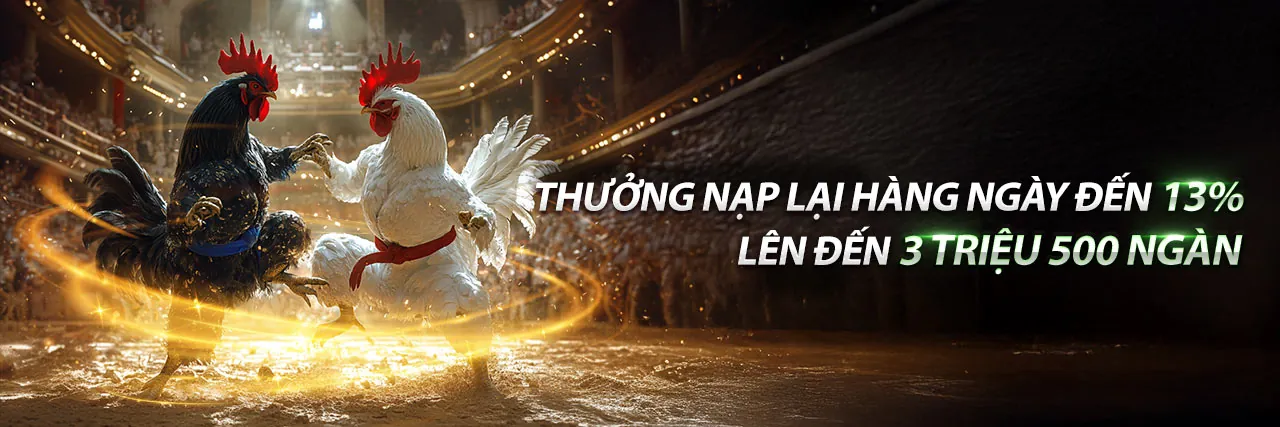 Đá Gà Trực Tuyến Hấp Dẫn tại fb66 game